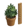 Plant height