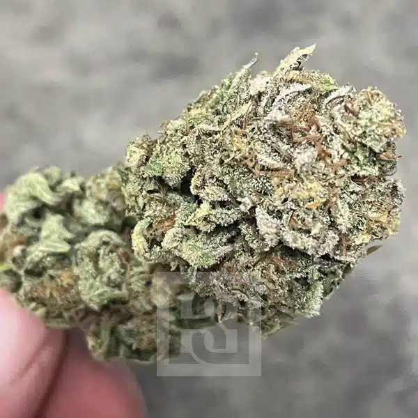 Exclusive Bruce Banner #3 Seed Collection