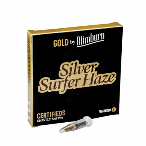 Silver Surfer Haze Cannabis Seeds - High THC, Feminized, Sativa-Dominant Hybrid