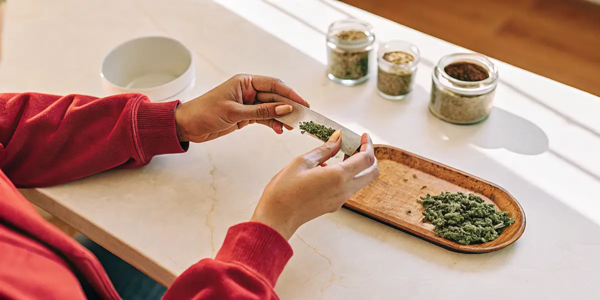 Tangie Family In The World Of Marijuana | Blimburn Seeds
