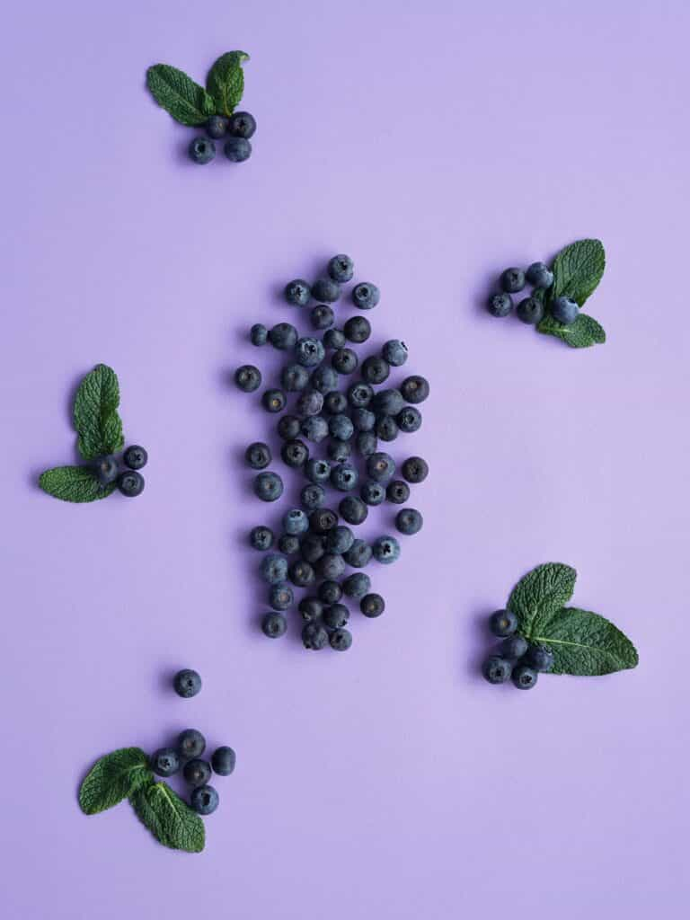 Blueberry Fruit