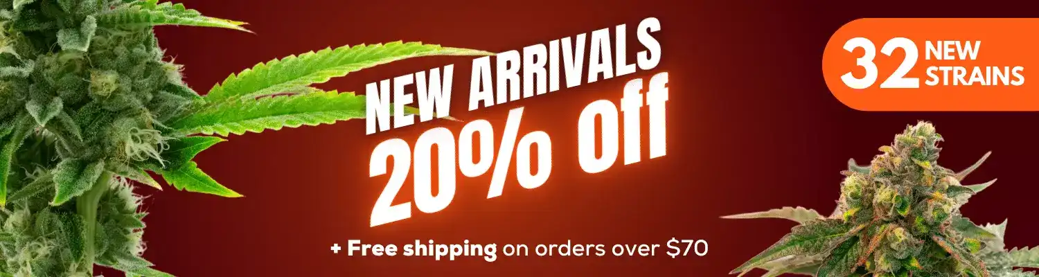 new arrivals