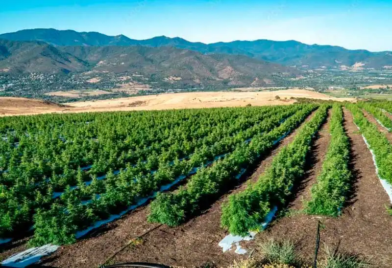 The best time to growing in Oregon