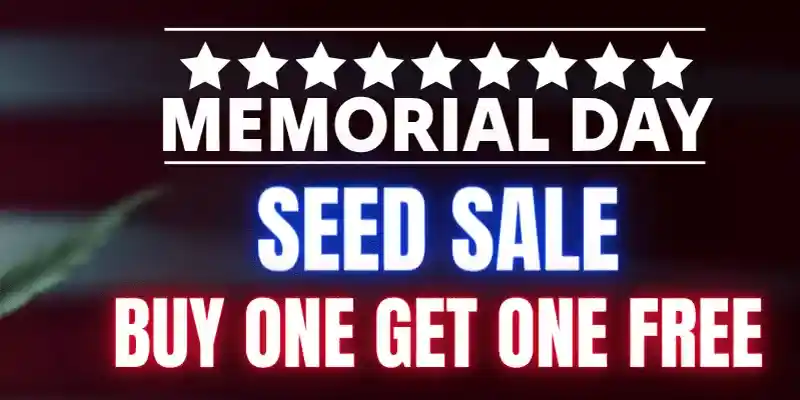 200 memorial banner mobile 2