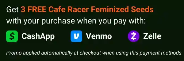 600194160195151194160200194160px 15.webp