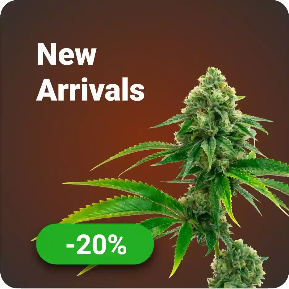 banner new arrivals