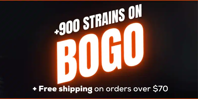 +900 strains bogo 800×400px