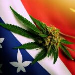 Marijuana Seeds NY
