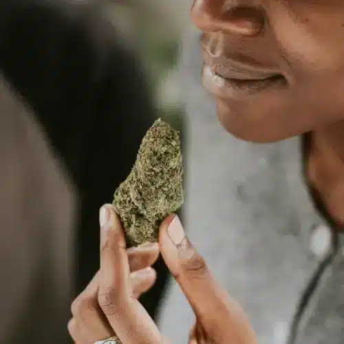 Is Weed a Stimulant?: Debunking Common Myths