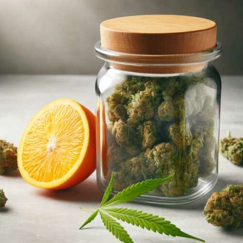 Keeping Your Cannabis Fresh: How to Rehydrate Weed