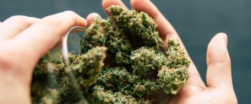 What is an 8th of Weed and How Much High Can It Really Get You?