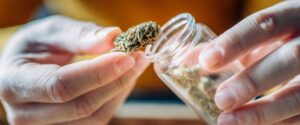 Can weed go bad