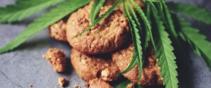 Enjoy the rustic charm of homemade oatmeal cookies enhanced with cannabis. These cookies are a wholesome treat, featuring a natural look with fresh cannabis leaves, ideal for a health-conscious snack.
