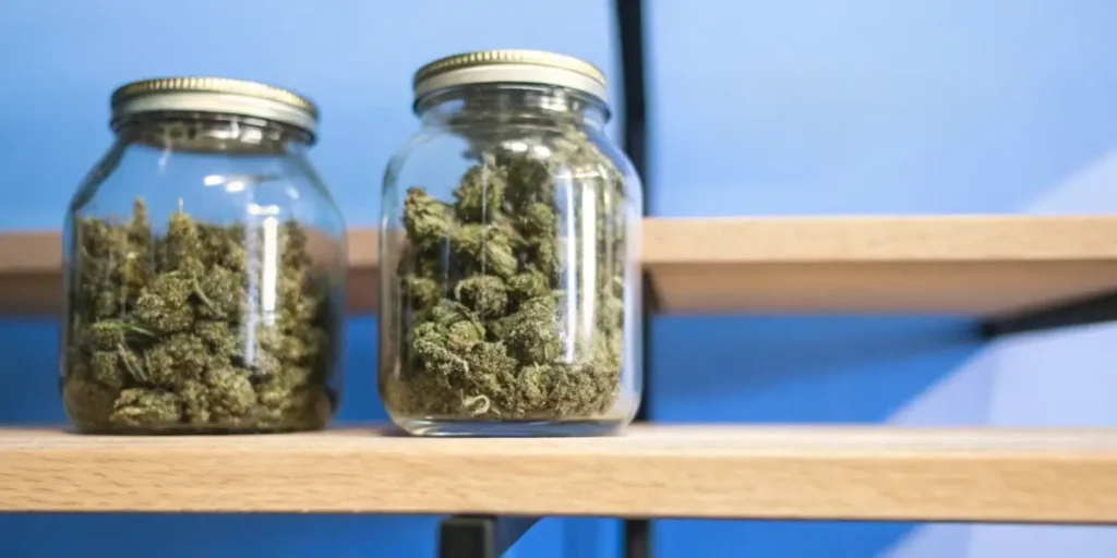 Two glass jars of dried cannabis buds on a wooden shelf against a blue wall.