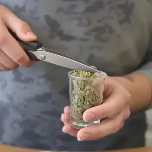How To Grind Weed Without a Grinder