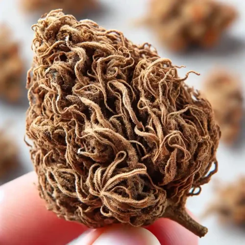 Ugly Buds
