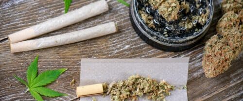 What Is Dank Weed? A Comprehensive Explanation