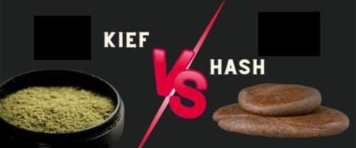Kief vs Hash: Key Differences and Uses
