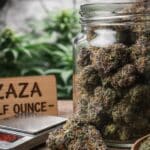 Zaza cannabis buds stored in a glass jar labeled half ounce, showing dense trichome-rich flowers displayed on a digital scale.