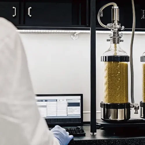 Scientist in lab coat using a laptop next to two glass extraction columns with yellowish liquid.