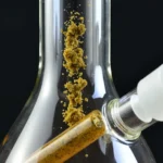Close-up of cannabis concentrate inside a glass bong.