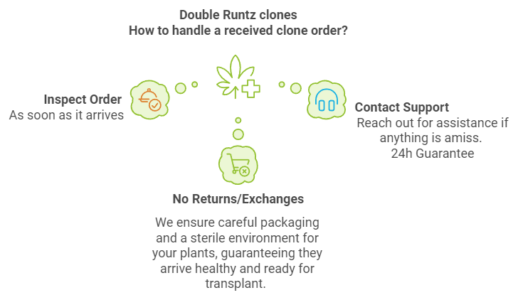 Double Runtz Clones Guarantee
