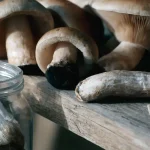 Fresh and Dried Magic Mushrooms in a Glass Jar