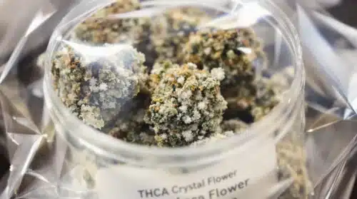 THCA Crystal Flower: A Guide to Potency and Purity