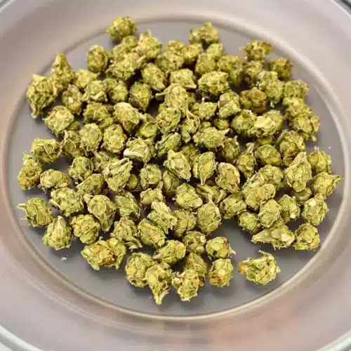 Drying Pot in Microwave