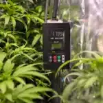 Digital HID lamp ballast in a cannabis grow tent, connected to an HPS lamp with thriving plants nearby.
