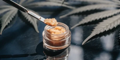 THCA Badder: The Pure, Potent Experience You've Been Looking For
