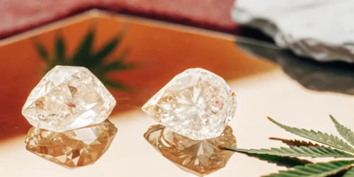 THCA Crystals in Cannabis: An In-Depth Look
