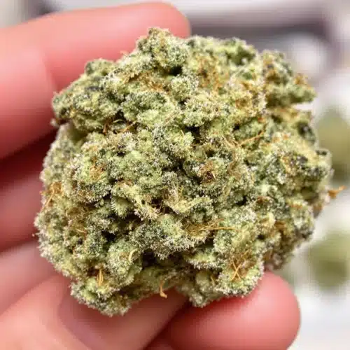 What Are King Size Preroll Cones?