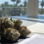 Hemp-Derived THCA Flower with Lab Testing Documents