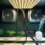 Indoor Cannabis Grow Tent with LED Lights and Humidifier