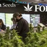 Blimburn Seeds featured in Forbes with cannabis plants in the foreground and professionals working in a modern lab environment