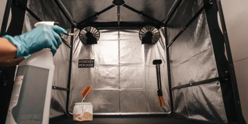 How to Clean Grow Tent for Peak Cannabis Growth