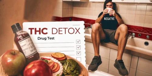 Top Detox Methods for THC Drug Tests