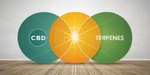 Venn diagram with overlapping circles labeled CBD and Terpenes, symbolizing their combined therapeutic effects and synergy on a wooden floor