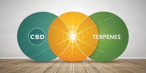 Maximizing Relief: Do CBD and Terpenes Work Together?
