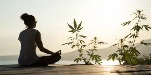 Benefits of Cannabis for Mental Health: Facts