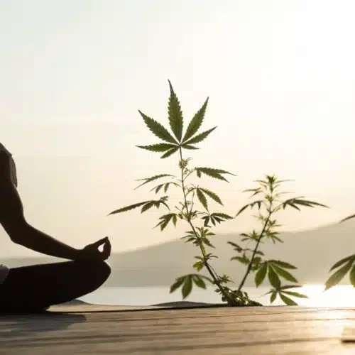 Benefits of Cannabis for Mental Health: Facts