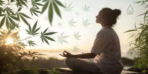 Cannabis for ADHD and Anxiety: Strains & Terpenes That Work