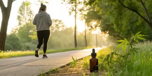 Cannabis for Asthma Treatment: What to Know