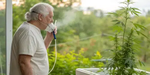 Cannabis Treatment for COPD: Natural Support for Breathing