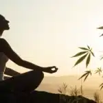 Person meditating outdoors with cannabis leaves, representing natural relief for fibromyalgia.