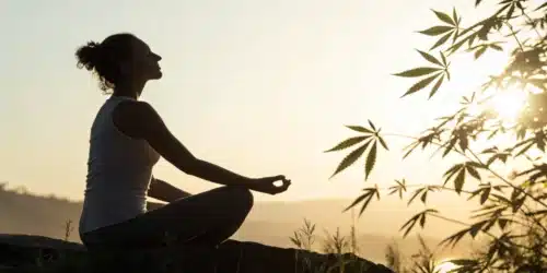 Cannabis Treatment for Fibromyalgia: Options