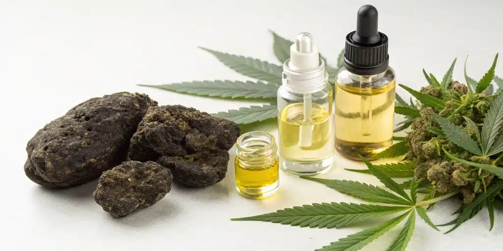 CBD Moonrock displayed with natural ingredients and fresh cannabis buds on a white background.