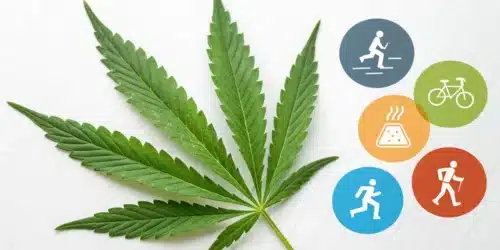 Does Cannabis Speed Up Metabolism: An In-Depth Look
