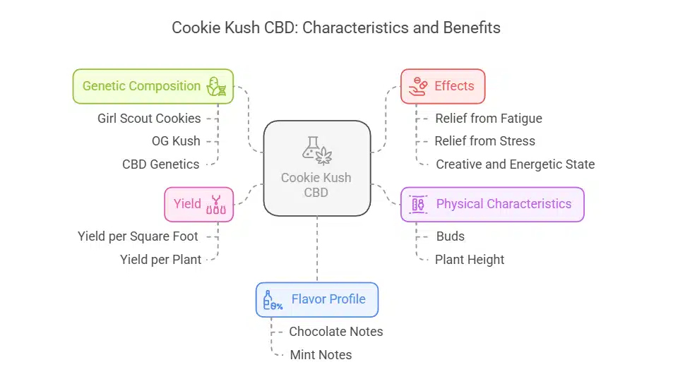 Cookie Kush CBD strain infographic highlighting genetics, effects, flavor profile, yield potential, and physical characteristics